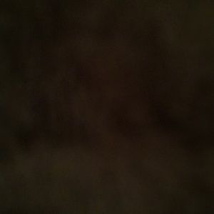 Meet your Posher, Mayra